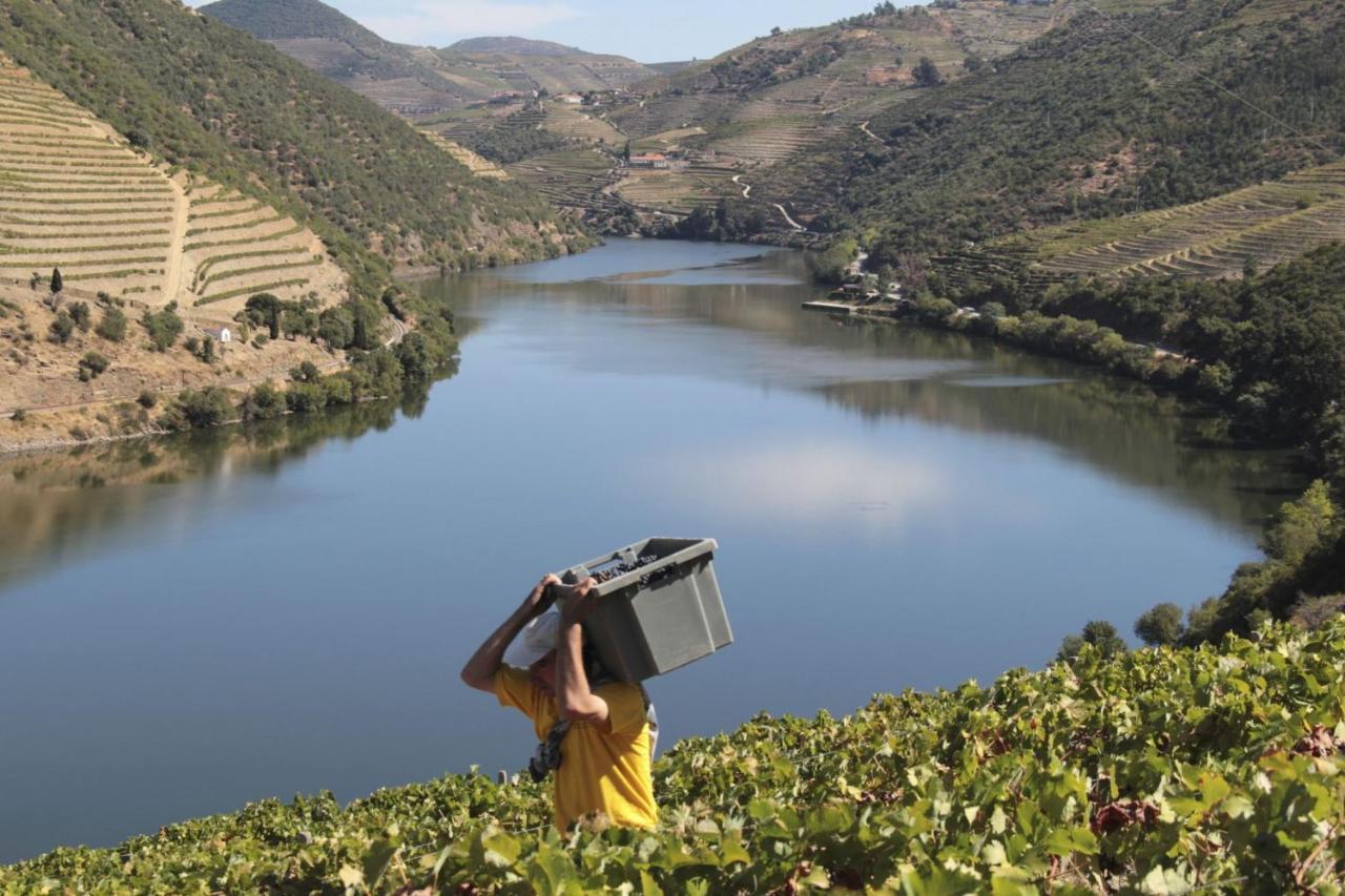 Quinta Da Casa Cimeira, Guest House, Wines & Food Valença do Douro Екстериор снимка